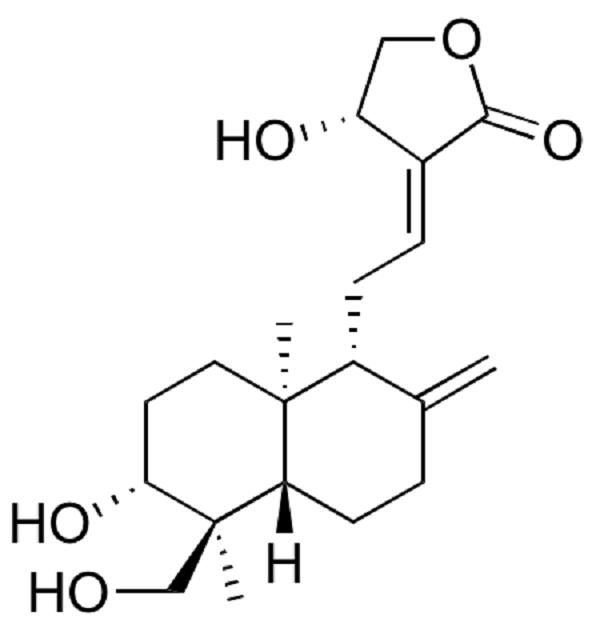 Xuyên[-]tâm[-]liên[-]-[-]Vị[-]thuốc[-]tiềm[-]năng[-]trong[-]phòng[-]chống[-]COVID-19